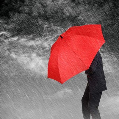 Posterazzi PDXFAF131LARGE Weathering The Storm Photo Print, 26 x 24, Multi