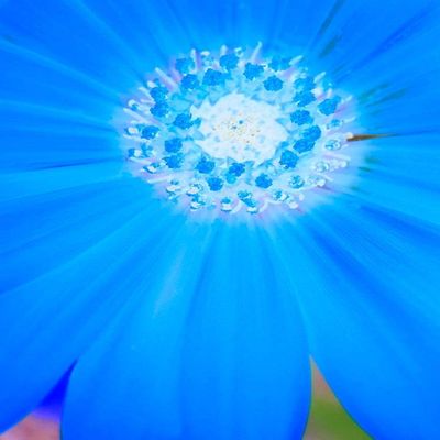 Posterazzi PDXMJMABS00074LARGE Natural Reactor II Photo Print, 24 x 36, Multi