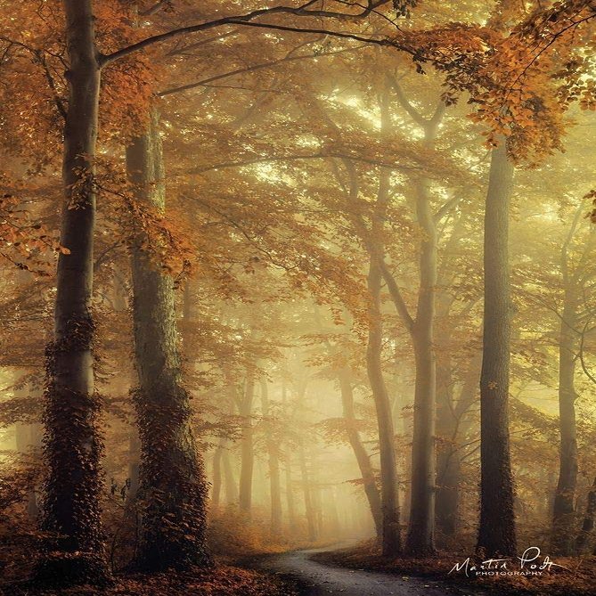 Posterazzi PDXMPP350LARGE The Path of Liberation Photo Print, 24 x 36, Multi
