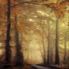 Posterazzi PDXMPP350LARGE The Path of Liberation Photo Print, 24 x 36, Multi view 1