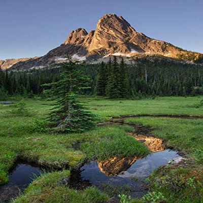 Posterazzi PDDUS48AMA0047LARGE Liberty Bell Mountain Reflected in Still Waters Creek, in Meadows Pass. North Cascades, Washington State Photo Print, 24 x 36, Multi