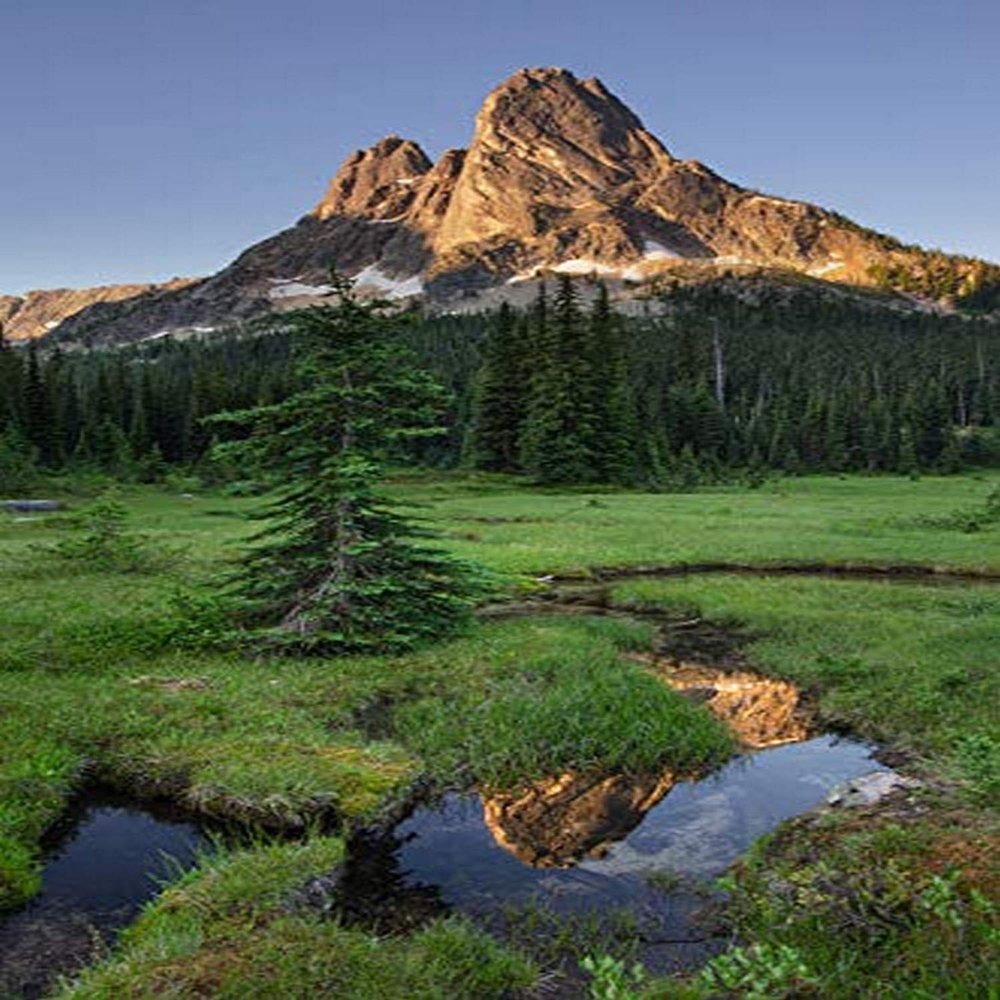 Posterazzi PDDUS48AMA0047LARGE Liberty Bell Mountain Reflected in Still Waters Creek, in Meadows Pass. North Cascades, Washington State Photo Print, 24 x 36, Multi