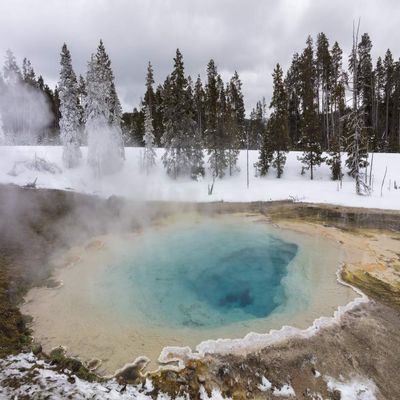Posterazzi PDDUS51CHA0261LARGE Silex Spring in Winter in Yellowstone National Park, Wyoming, USA Photo Print, 24 x 36, Multi
