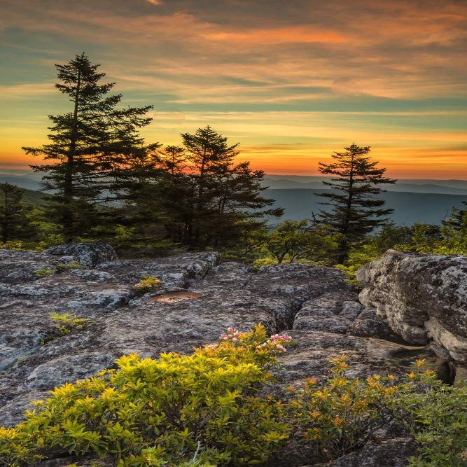 Posterazzi PDDUS49BJY0080LARGE USA, West Virginia, Blackwater Falls State Park. Tree and Landscape at Sunset Photo Print, 24 x 36, Multi