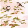 Posterazzi PDX17482LARGE Birds and Blush Blossoms I Photo Print, 15 x 36, Multi view 1
