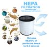 HQRP 2-Pack Filter compatible with Dyson Pure Cool Link TP02 TP03, Pure Cool TP01 AM11 Tower, Pure Cool Me BP01 Personal Fan, compatible with 968126-03 EVO Filter 2nd Generation view 4