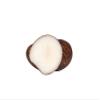 Tagua Nut Carving: Elk (1153-C451) E14 view 3