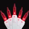 Hofert Everglow Steady Mini Christmas Light Set - Red - 9 ft White Wire - 50ct view 2