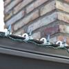 Set of 150 Clear Max Pro Anywhere Christmas Light Clips view 3