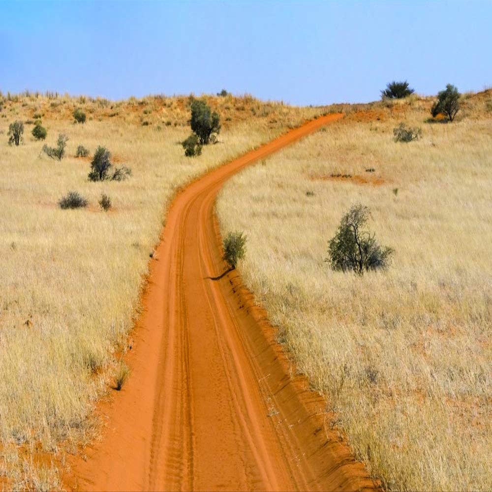 Posterazzi PDDAF42KSU0006LARGE Red Sand Road in Kgalagadi Transfrontier Park, South Africa Photo Print, 24 x 36, Multi
