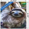 Trends International Sloth - Smile Wall Poster, 14.725" x 22.375", Premium Unframed Version view 3