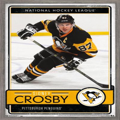 Trends International NHL Pittsburgh Penguins - Sidney Crosby 16 Wall Poster, 14.725" x 22.375", Barnwood Framed Version