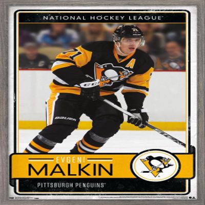 Trends International NHL Pittsburgh Penguins - Evgeni Malkin 16 Wall Poster, 22.375" x 34", Barnwood Framed Version