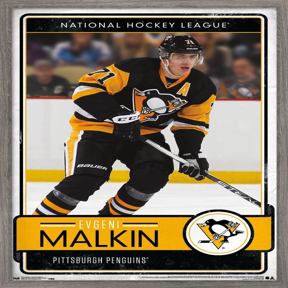 Trends International NHL Pittsburgh Penguins - Evgeni Malkin 16 Wall Poster, 22.375" x 34", Barnwood Framed Version