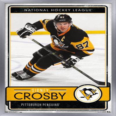Trends International NHL Pittsburgh Penguins - Sidney Crosby 16 Wall Poster, 14.725" x 22.375", Silver Framed Version
