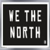 Trends International NBA Toronto Raptors - We The North 16 Wall Poster, 14.725" x 22.375", Silver Framed Version view 1