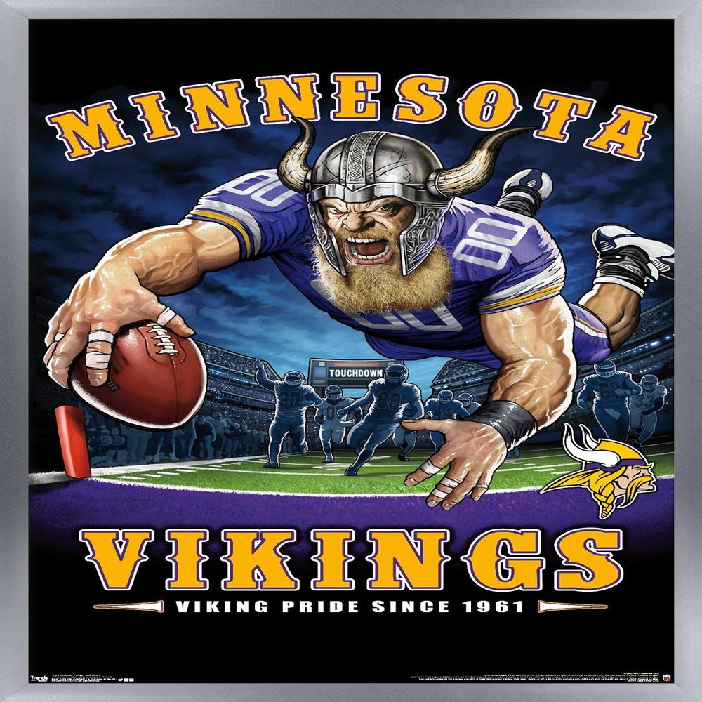 Trends International NFL Minnesota VIkings - End Zone 17 Wall Poster, 14.725" x 22.375", Silver Framed Version
