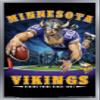 Trends International NFL Minnesota VIkings - End Zone 17 Wall Poster, 14.725" x 22.375", Silver Framed Version view 1