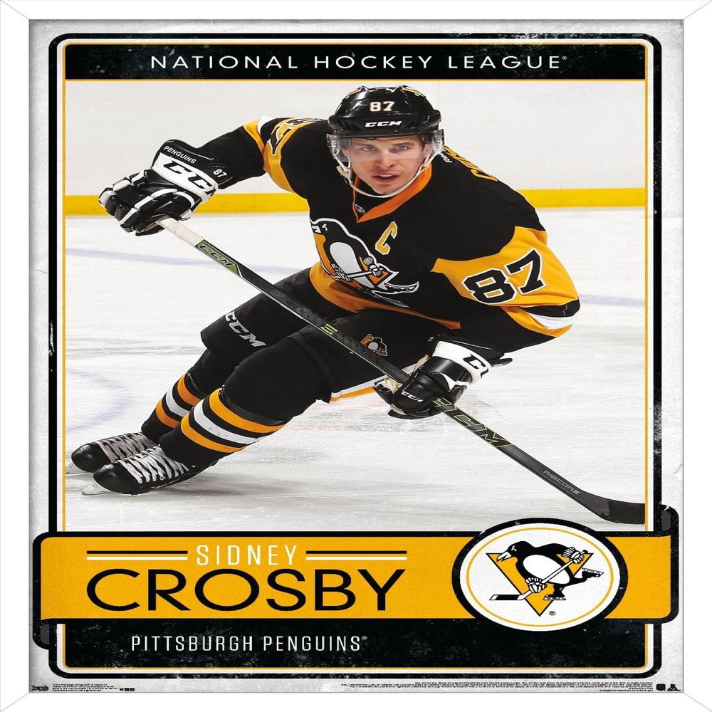 Trends International NHL Pittsburgh Penguins - Sidney Crosby 16 Wall Poster, 14.725" x 22.375", White Framed Version