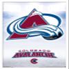 Trends International NHL Colorado Avalanche - Logo 17 Wall Poster, 14.725" x 22.375", White Framed Version view 1