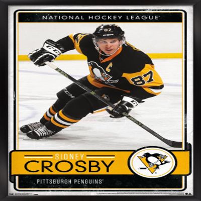 Trends International NHL Pittsburgh Penguins - Sidney Crosby 16 Wall Poster, 14.725" x 22.375", Black Framed Version