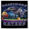 Trends International NFL Baltimore Ravens - End Zone 17 Wall Poster, 14.725" x 22.375", White Framed Version view 1