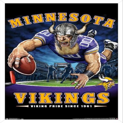 Trends International NFL Minnesota VIkings - End Zone 17 Wall Poster, 14.725" x 22.375", White Framed Version
