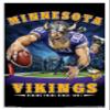 Trends International NFL Minnesota VIkings - End Zone 17 Wall Poster, 14.725" x 22.375", White Framed Version view 1