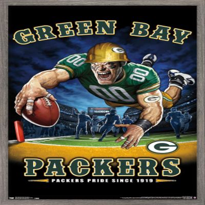 Trends International NFL Green Bay Packers - End Zone 17 Wall Poster, 22.375" x 34", Barnwood Framed Version