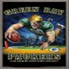 Trends International NFL Green Bay Packers - End Zone 17 Wall Poster, 22.375" x 34", Barnwood Framed Version view 1