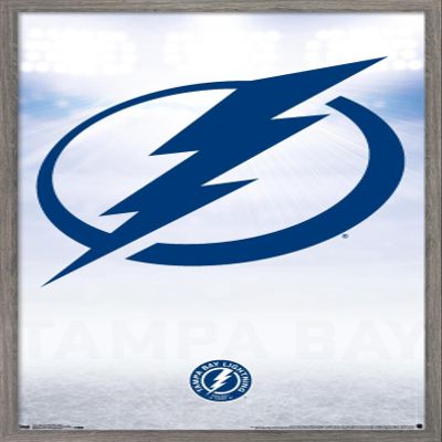 Trends International NHL Tampa Bay Lightning - Logo 17 Wall Poster, 22.375" x 34", Barnwood Framed Version