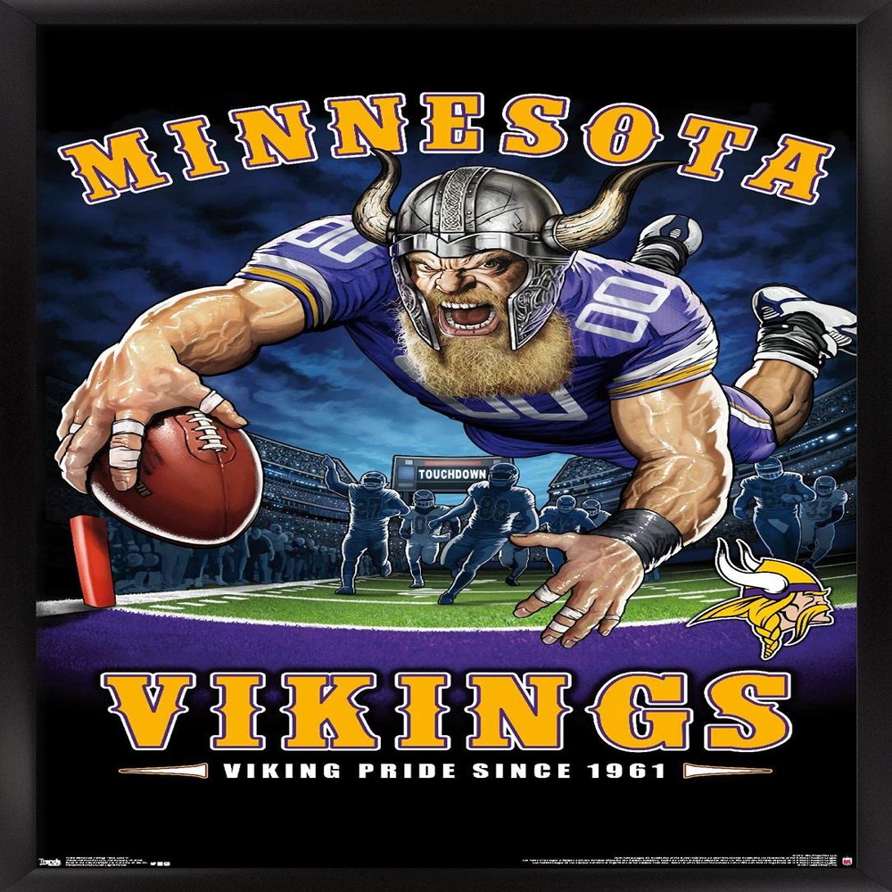 Trends International NFL Minnesota VIkings - End Zone 17 Wall Poster, 14.725" x 22.375", Black Framed Version
