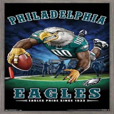 Trends International NFL Philadelphia Eagles - End Zone 17 Wall Poster, 14.725" x 22.375", Barnwood Framed Version