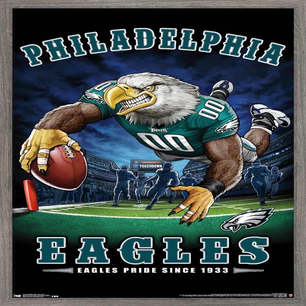 Trends International NFL Philadelphia Eagles - End Zone 17 Wall Poster, 14.725" x 22.375", Barnwood Framed Version