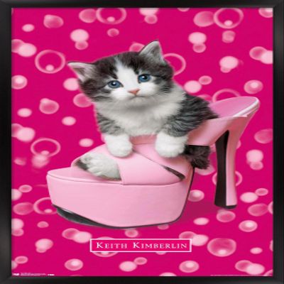 Trends International Keith Kimberlin - Kitten - Shoe Wall Poster, 22.4L x 14.7W, Black Framed Version