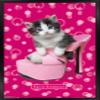 Trends International Keith Kimberlin - Kitten - Shoe Wall Poster, 22.4L x 14.7W, Black Framed Version view 1