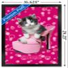 Trends International Keith Kimberlin - Kitten - Shoe Wall Poster, 22.4L x 14.7W, Black Framed Version view 3
