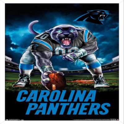 Trends International NFL Carolina Panthers - 3 Point Stance 19 Wall Poster, 22.375" x 34", White Framed Version