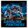 Trends International NFL Carolina Panthers - 3 Point Stance 19 Wall Poster, 22.375" x 34", White Framed Version view 1