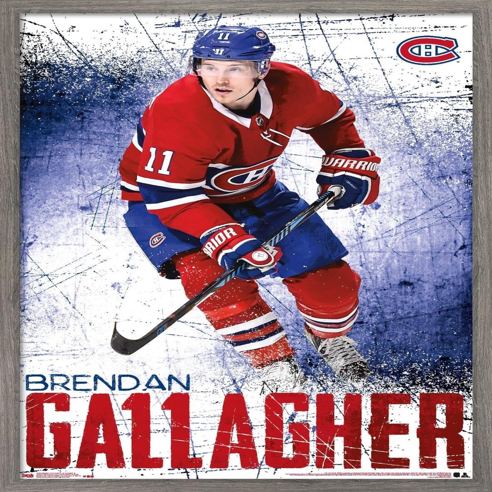 NHL Montreal Canadiens - Brendan Gallagher 18 Wall Poster, 34L" x 22.4W", Barnwood Framed Version