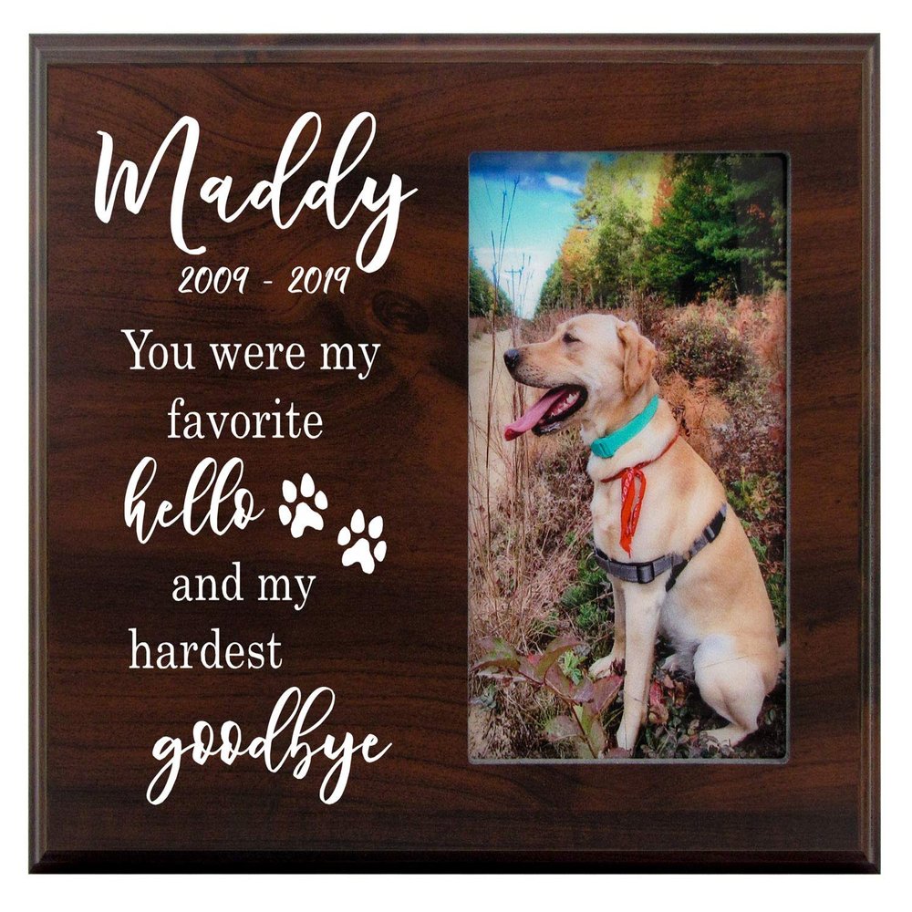 Mainely Urns 8x10 Photo Plaque - Personalized Pet Memorial Picture Frame - You were My Favorite Hello and My Hardest Goodbye - Sympathy Dog or Cat Gift with Heartfelt Quote