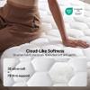Bedsure RV Short Queen Mattress Pad - Quilted Fitted Mattress Topper Protector with 8-21 Inches Deep Pocket, Noiseless Bed Cover Padded for Camper and Motorhome, Machine Washable, White, 60x75 Inches view 4