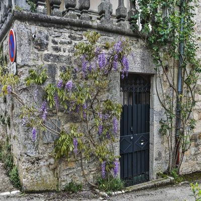 Posterazzi PDDEU09HLL0043 France, Cajarc. Wisteria Covered Stone Wall and Doorway Photo Print, 18 x 24, Multi