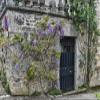 Posterazzi PDDEU09HLL0043 France, Cajarc. Wisteria Covered Stone Wall and Doorway Photo Print, 18 x 24, Multi view 1