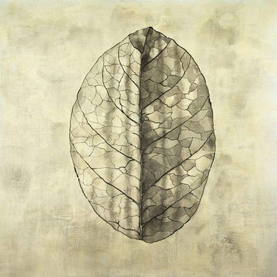 Posterazzi PDXBEGFLO351LARGE Translucent Photo Print, 24 x 24, Multi