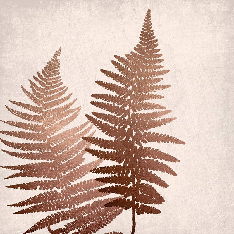 Posterazzi PDXBARC050ALARGE Copper Pink Ferns 1 Photo Print, 24 x 36, Multi