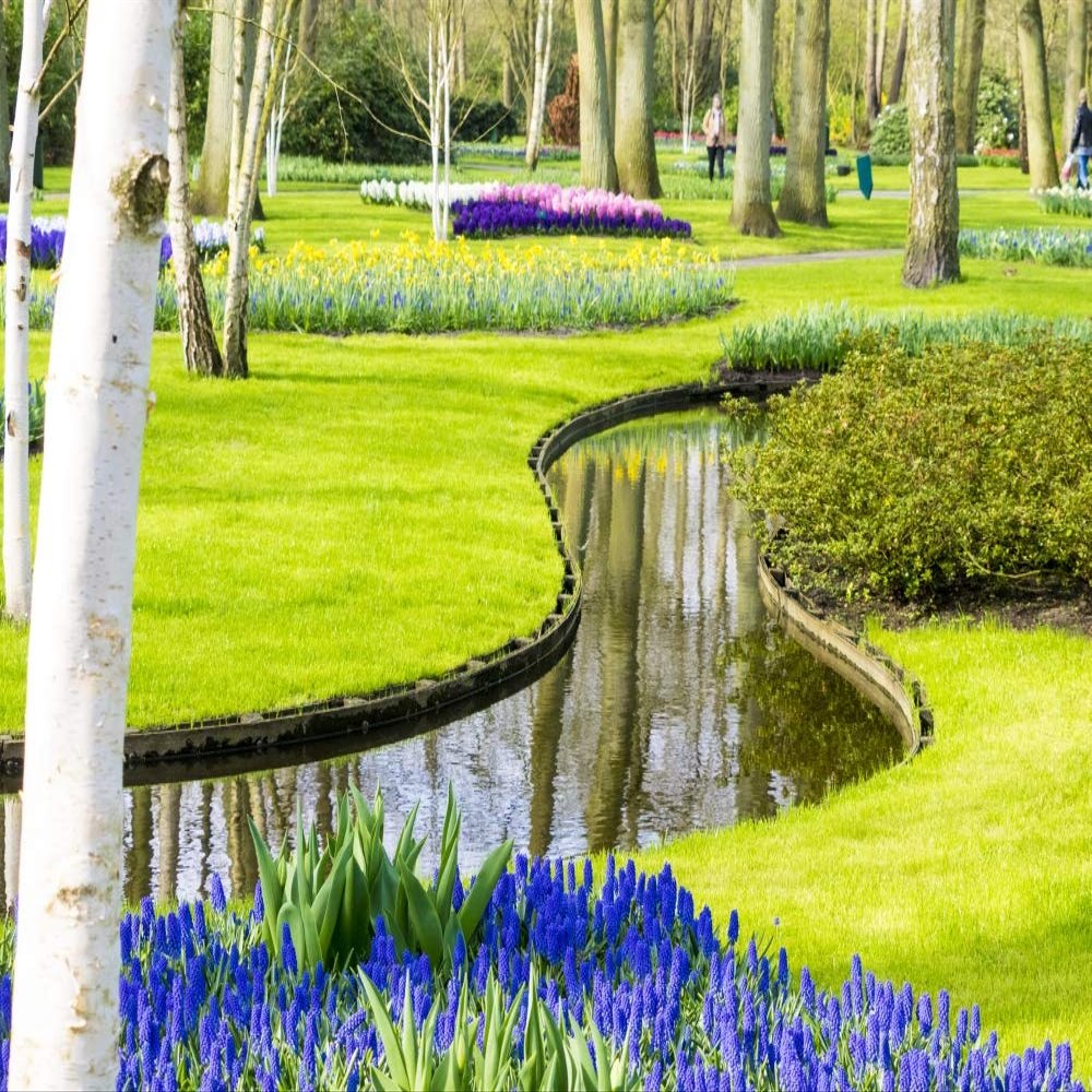 Posterazzi PDDEU18TEG0037LARGE Netherlands, Lisse. Multicolored Flowers in Spring Photo Print, 24 x 36, Multi