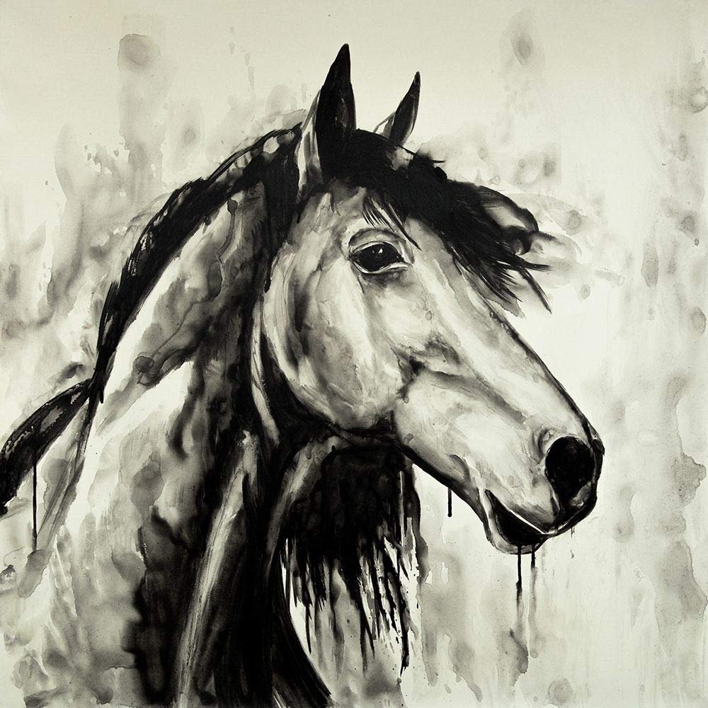 Posterazzi PDXBEGANI492LARGE Spirit Horse Photo Print, 24 x 24, Multi
