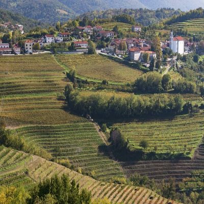 Posterazzi PDDEU38BTH0023LARGE Slovenia, Goriska Brda Rich Viticulture Region with Fields of Vines Photo Print, 24 x 36, Multi