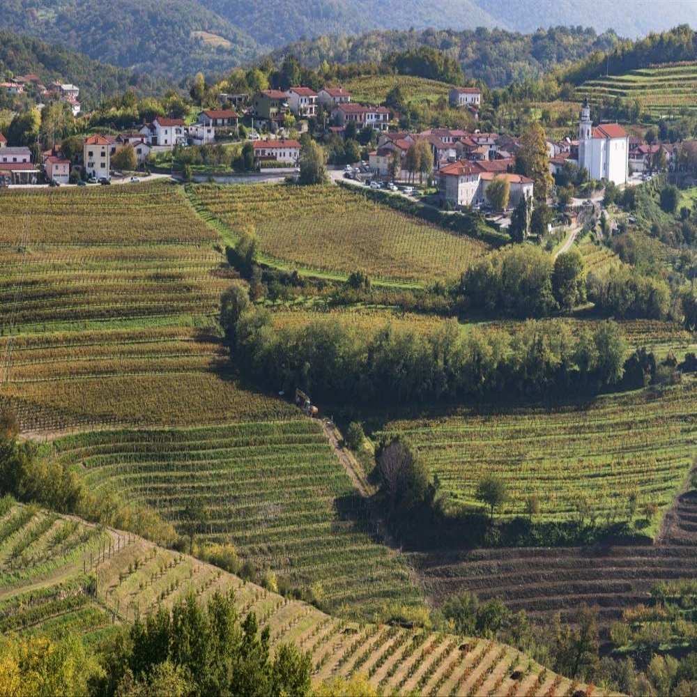 Posterazzi PDDEU38BTH0023LARGE Slovenia, Goriska Brda Rich Viticulture Region with Fields of Vines Photo Print, 24 x 36, Multi